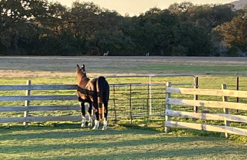 Private cabin on 100 scenic acres with balcony views - Foto 50
