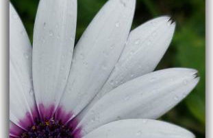 Casa Tío Pedro Martín - Foto 19