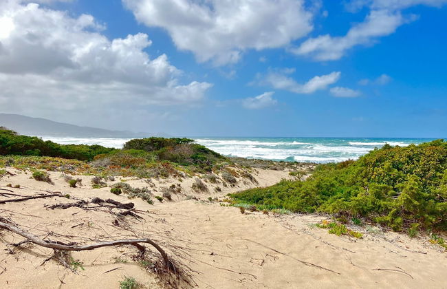 New Appartment at 100 mt From the sea - Photo 20