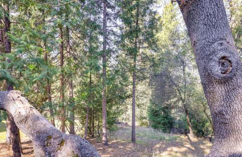 Access to Pine Mountain Lake Family Cabin with Deck - Foto 20