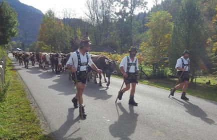 Ferienwohnung am Eichwald - Photo 38