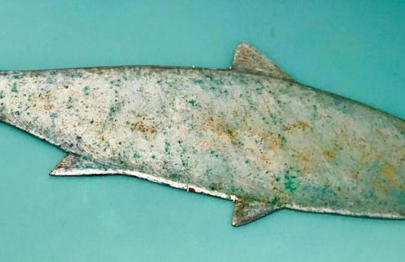 Trendy 2BD Flat in West Hampstead - Foto 24