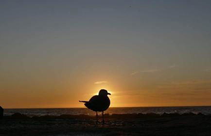 O Lagar apartamento grande y luminoso. 8 personas. - Foto 62