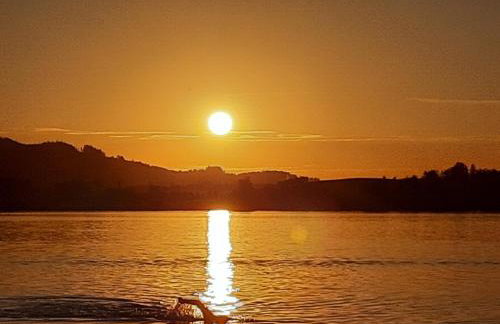 Gästehaus Poppler - Foto 15