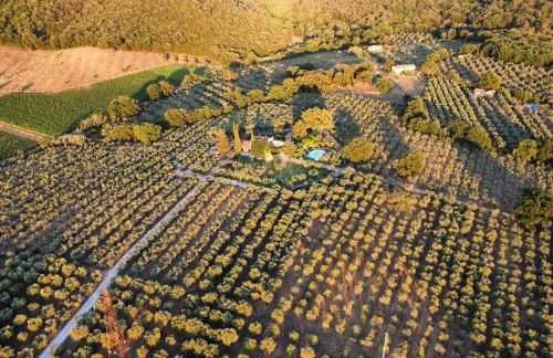 Agriturismo Podere Valdo - Foto 9