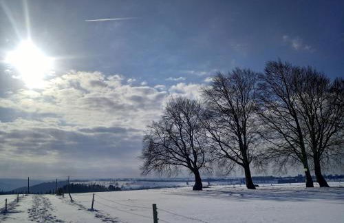 Ferienhaus Eifelherz - Photo 17