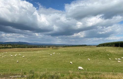 Fiadh Ruadh-Uk40008 - Foto 30