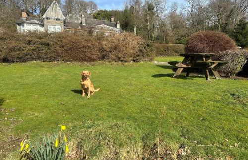 3 Bed in Hawkshead oc-llh24 - Foto 26