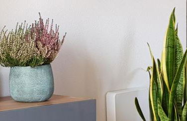 Concordia, con parking en el puerto de Cambrils - Photo 17