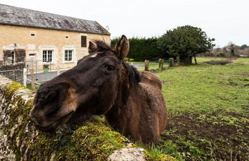 Holiday Home Le Clos Renard by Interhome - Foto 29