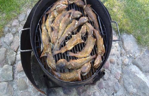 Seaside Cottage in Cisowo with terrace and lovely garden - Foto 85