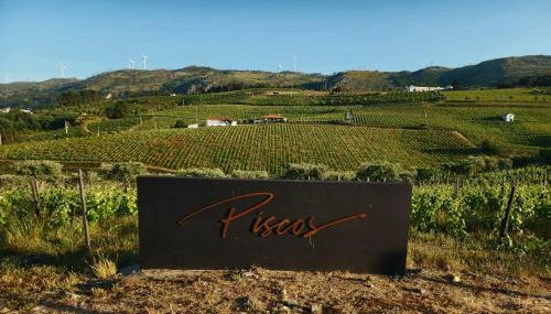 Quinta dos Piscos - Foto 1