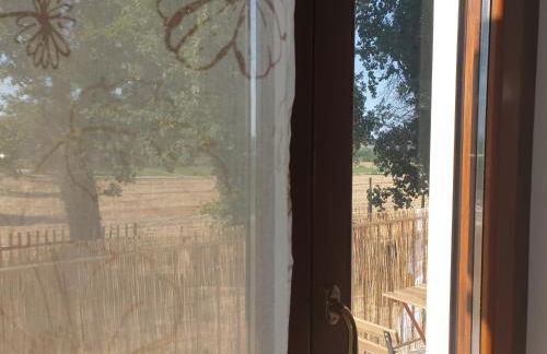 Campagna D'aMare - Foto 14