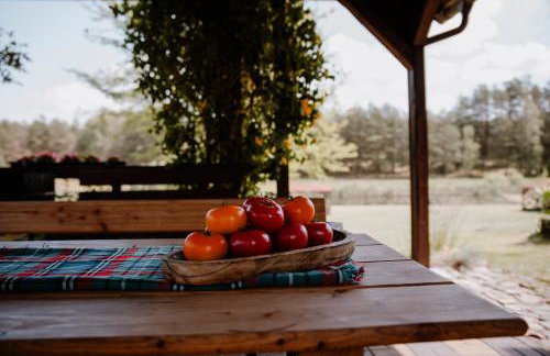 Agroturystyka u Marleny - Foto 43