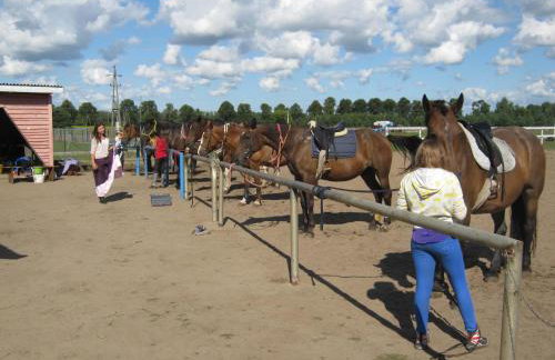 Samsara - Prawdziwa Agroturystyka - Photo 25