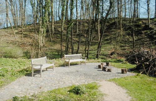 Historic Thatched Cottage In Holstein Switzerland - Foto 33