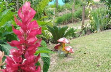 Canto dos Pássaros, Sana - Photo 26