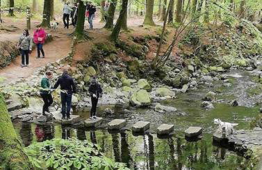 Sarsa Cottage Ballynahinch - Foto 42