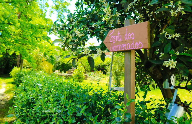 Casa das Palmeiras - Pedagogic Farm - Foto 133