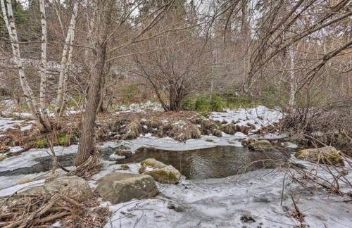 The Little Pine - Foto 14