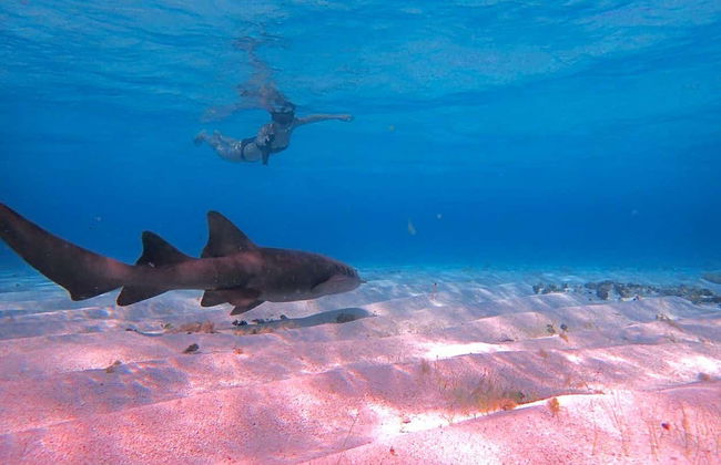 Excursion à Punta Arrecife - Photo 4