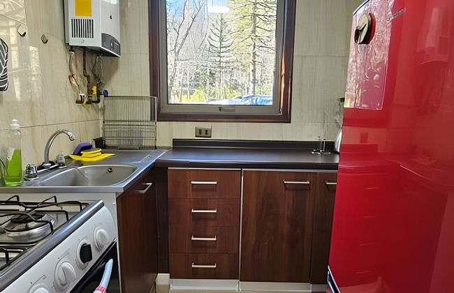 Oceana Suites Corralco - Photo 11