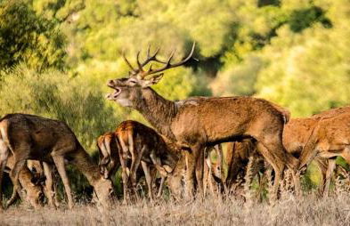 Casa del Secretario - Foto 37