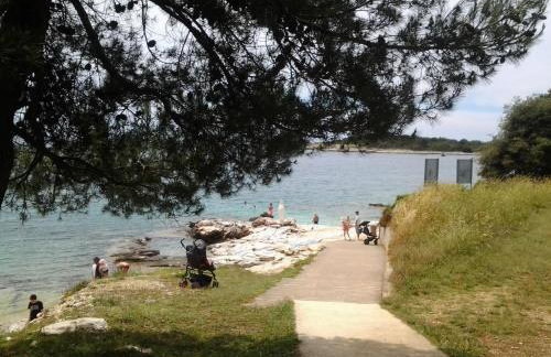 Apartments Casa Karmen - Foto 23