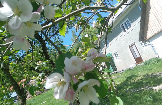 Room in Guest Room - Idylic Family Sejour With Hottube in Green Land - Photo 43