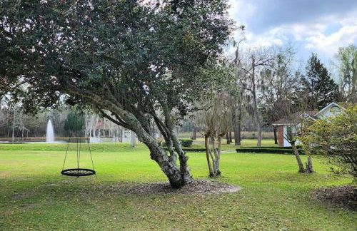 A retro rejuvenation - Foto 2