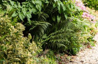 2 Chatsworth Riverscape Apartments - Peaceful apartment in great location with free parking overlooking the Gannel just a short walk from Newquays incredible beaches and local amenities - Foto 18