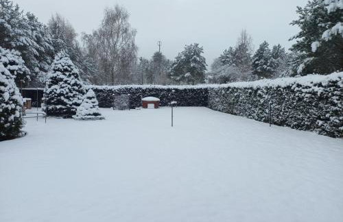 Dom pod gwiazdami - Foto 40