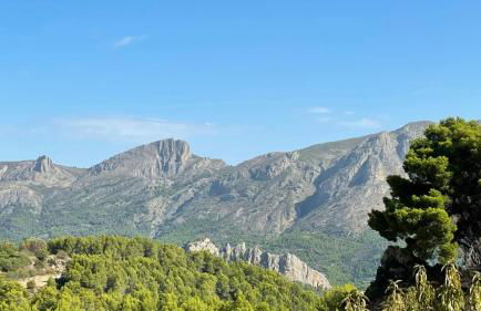 La Colina de Charly - Foto 28