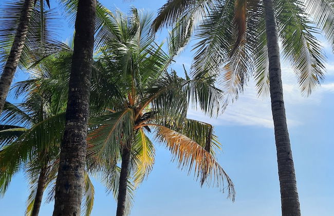 Zoa Villas - 2 minutes to the beach - Foto 40