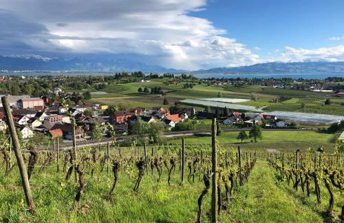 TANTE IDAS Apartments in Lindau - Foto 23