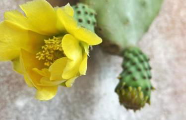 La Casetta - Foto 17