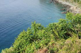 La Terrazza di Rovaglioso - Photo 29