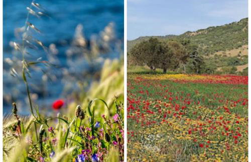 Zoe's Villa - Entire Villa Rental with Stunning Aegean Sea views! - Foto 28