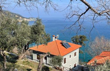 Siki House - Photo 30