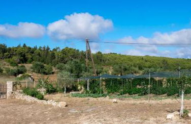 Fterini Apartments Sterna & Alletri - Foto 39