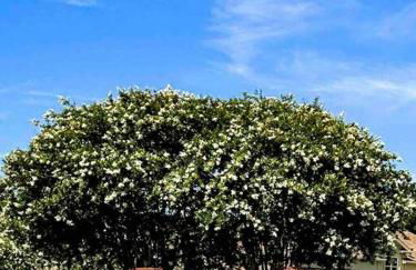 Private Suite in Upscale Neighborhood - Foto 33