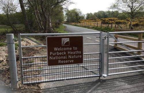 Magnolia Passageway to the Jurassic Coast. - Foto 18