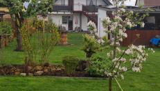 Ferienwohnung Richter - Foto 2