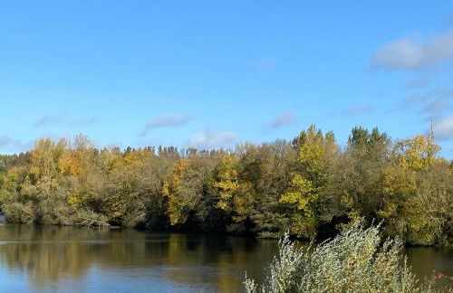 Le Petit Nid de Beauval - Foto 19