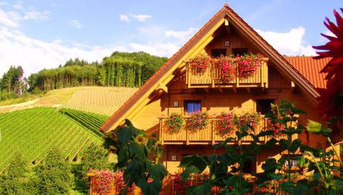 Weingut und Ferienhof Josef Huber - Foto 4