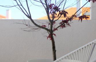 Vila Mafra - Grill Terrace - Foto 8