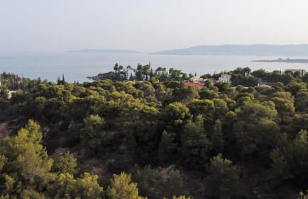 PLEIADES lUXURY APARTMENTS - Foto 41