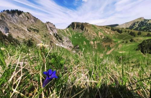 Landhaus im Allgäu - Foto 37
