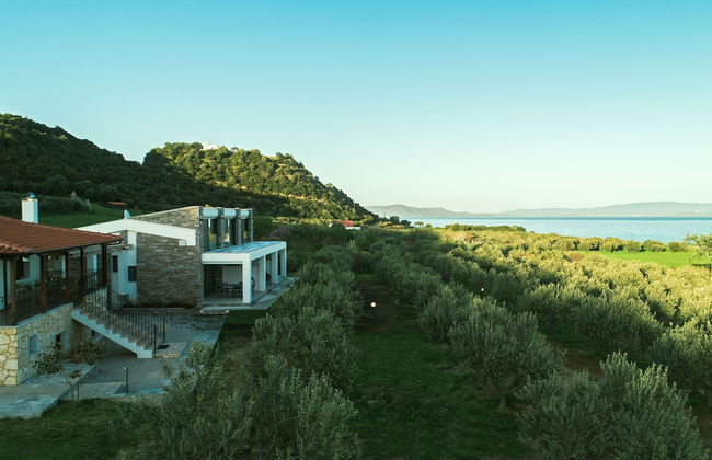 Casa Del Olivar - Photo 40