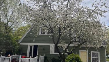 Cozy Cape Cod - Foto 4